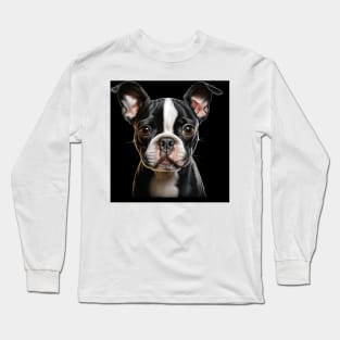 Cute Boston Terrier Lovers Dogs Boston Terrier Long Sleeve T-Shirt